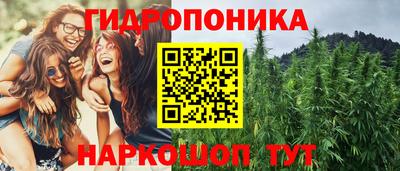 ПСИЛОЦИБИНОВЫЕ ГРИБЫ Будённовск