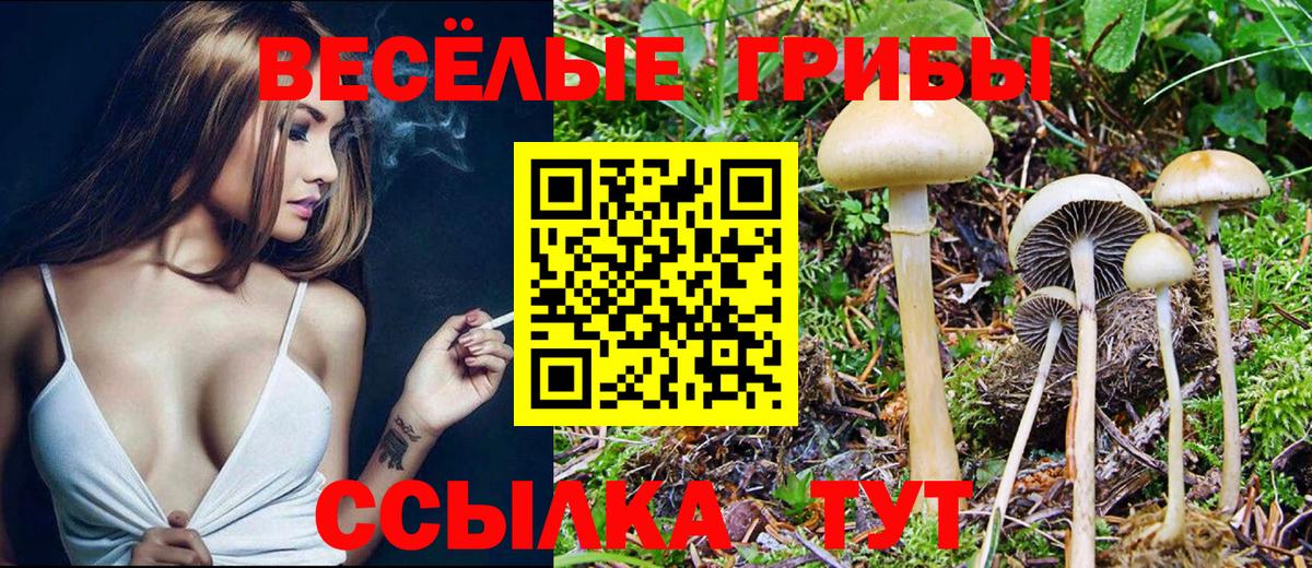 Псилоцибиновые грибы мицелий Фурманов